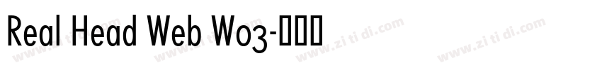 Real Head Web W03字体转换
